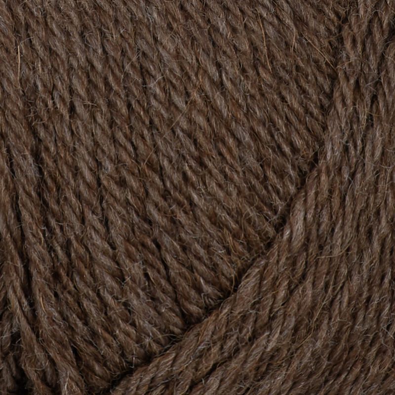 Alpaca Storm