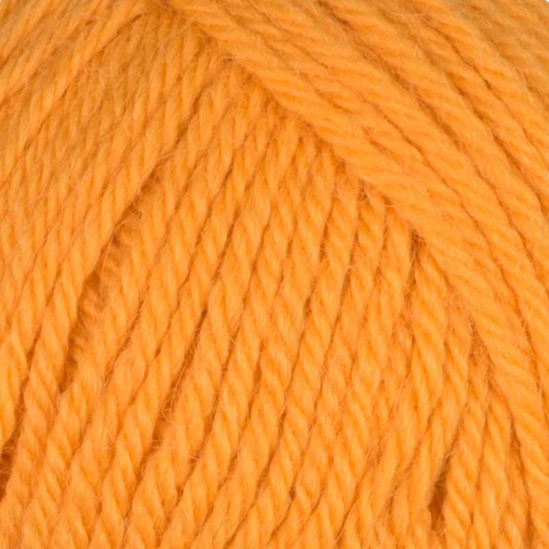 Alpaca Storm
